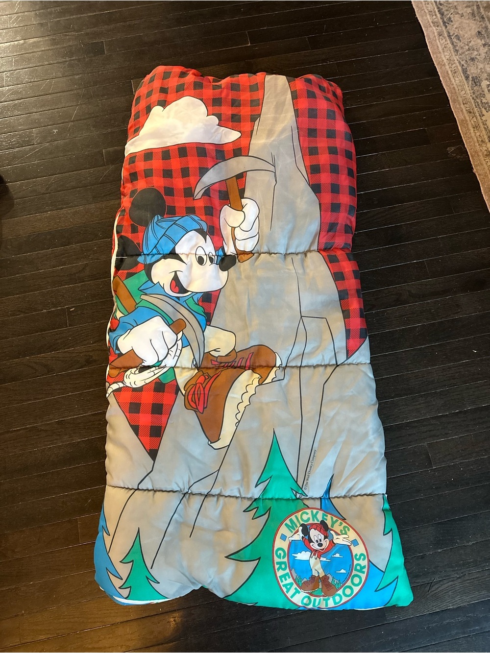 Vintage 90s Mickey Mouse Great Outdoors Kids Sleeping Bag Campout Adventure